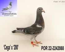 POR 22-2242088